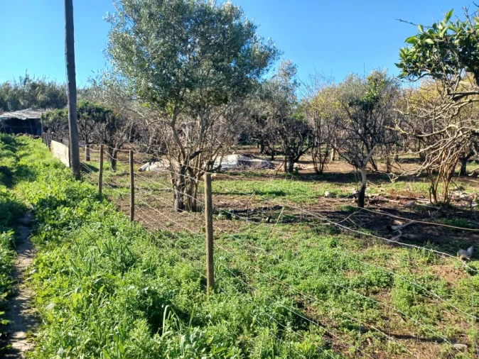 Quinta T2 para Venda em Faro (Sé e São Pedro) Foto 10