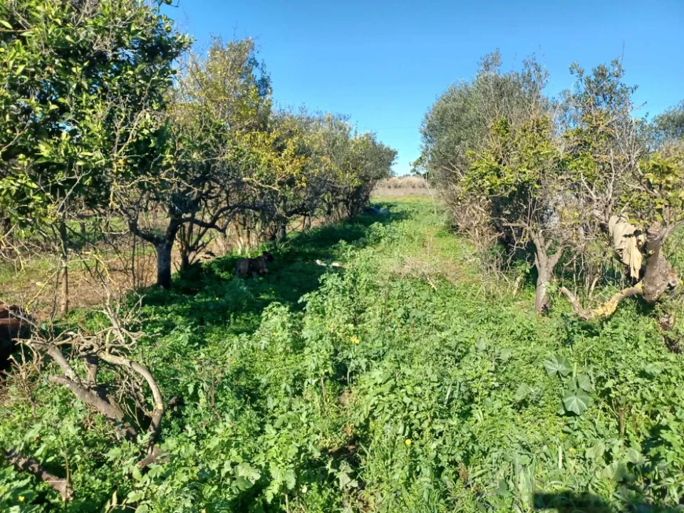 Quinta T2 para Venda em Faro (Sé e São Pedro) Foto 9