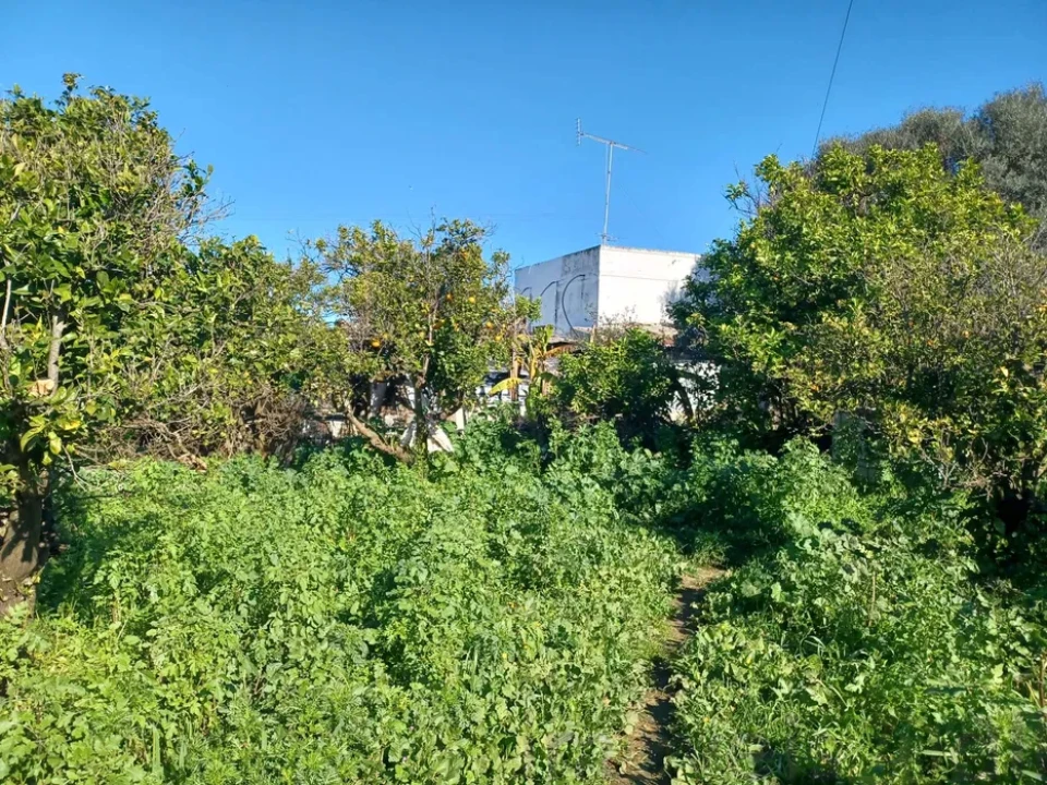 Quinta T2 para Venda em Faro (Sé e São Pedro) Foto 8