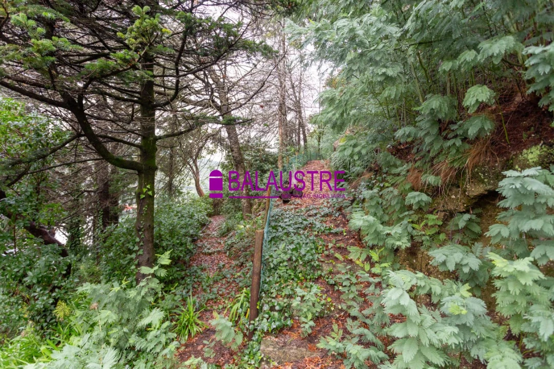 Moradia T5 para Venda em Vilar da Veiga Foto 5