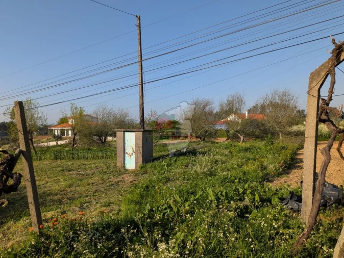 Moradia T5 para Venda em Cernache do Bonjardim, Nesperal e Palhais Foto 49