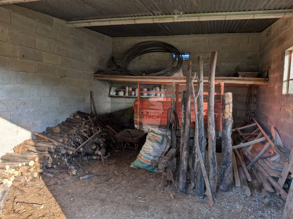 Moradia T5 para Venda em Cernache do Bonjardim, Nesperal e Palhais Foto 39