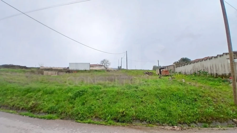 Terreno para Venda em Evora de Alcobaça Foto 6