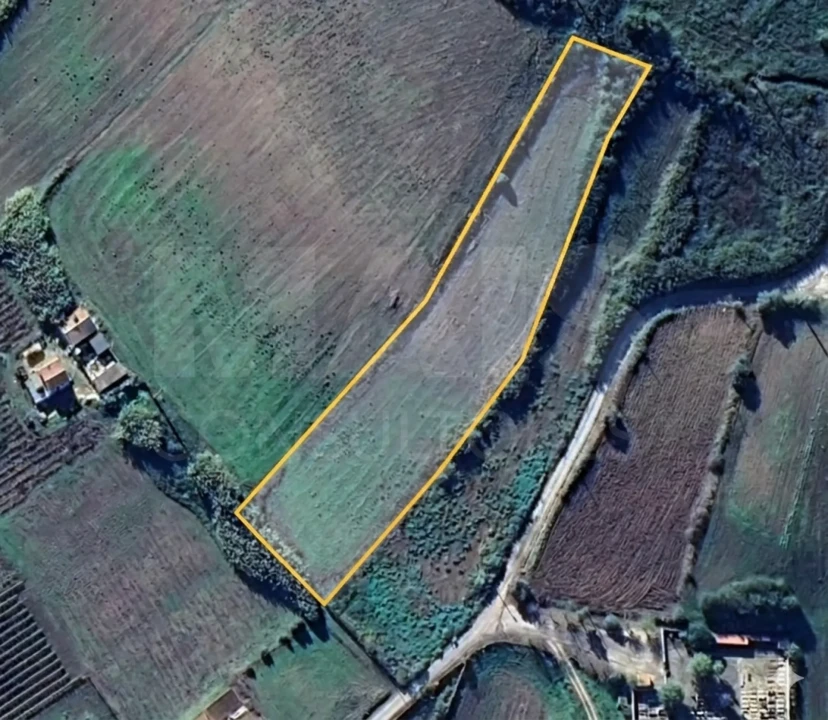 Terreno para Venda em Dois Portos e Runa Foto 11