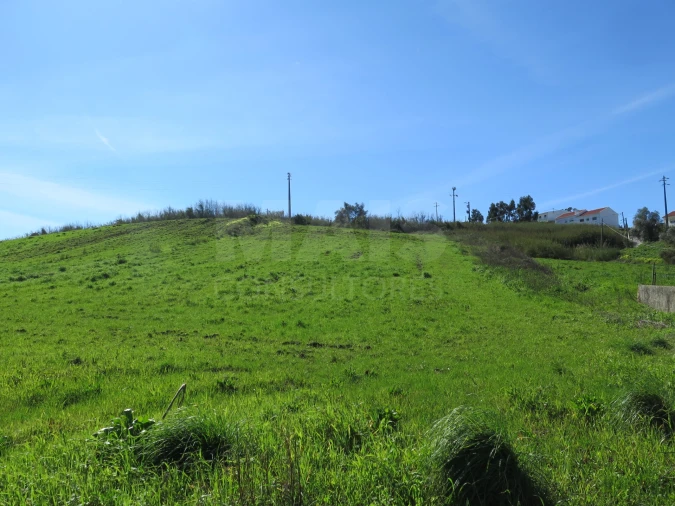 Terreno para Venda em Dois Portos e Runa Foto 7