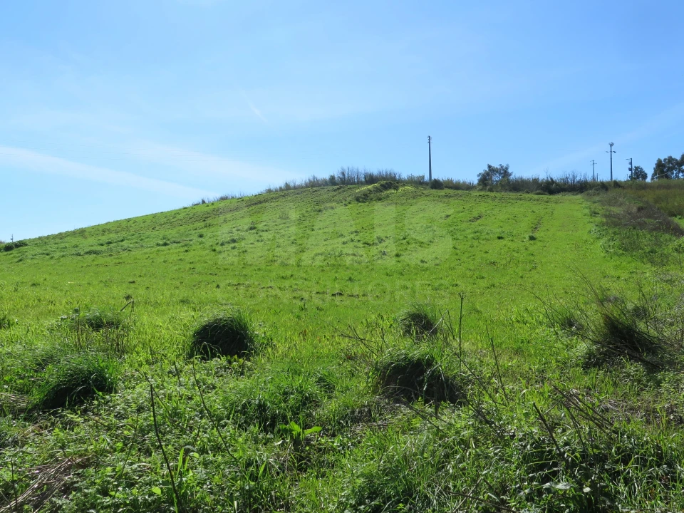 Terreno para Venda em Dois Portos e Runa Foto 8