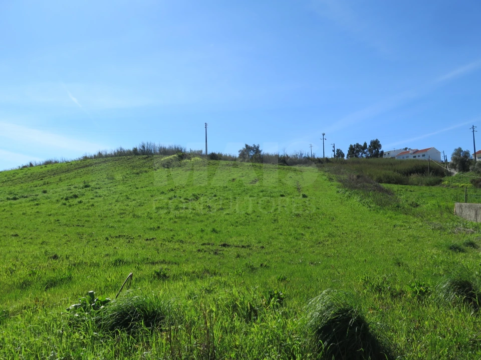 Terreno para Venda em Dois Portos e Runa Foto 7