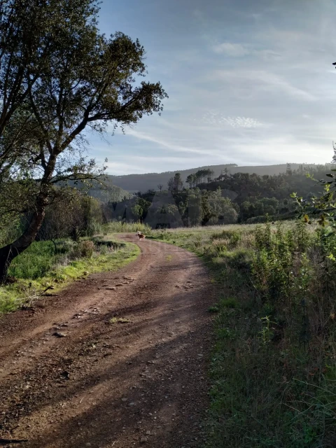Moradia para Venda em Saboia