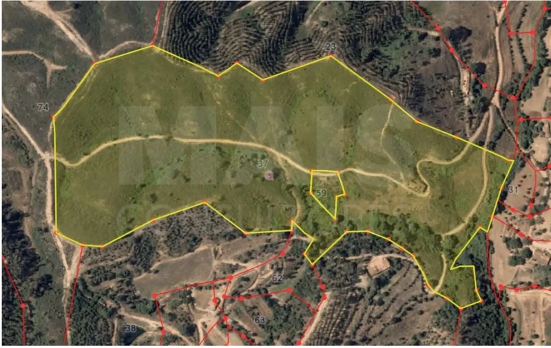 Moradia para Venda em Saboia Foto 2