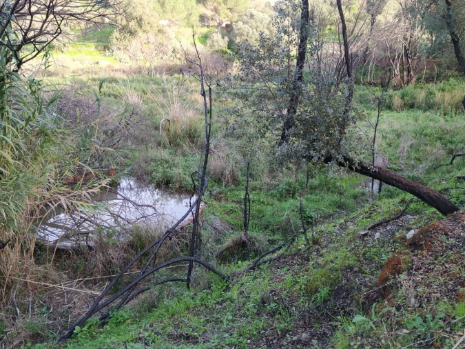 Moradia para Venda em Saboia Foto 3