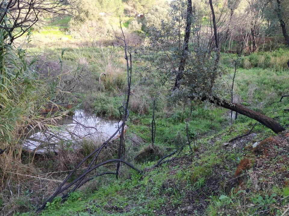Moradia para Venda em Saboia Foto 3