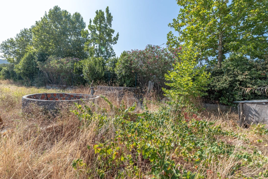 Terreno para Venda em Grândola e Santa Margarida da Serra Foto 12