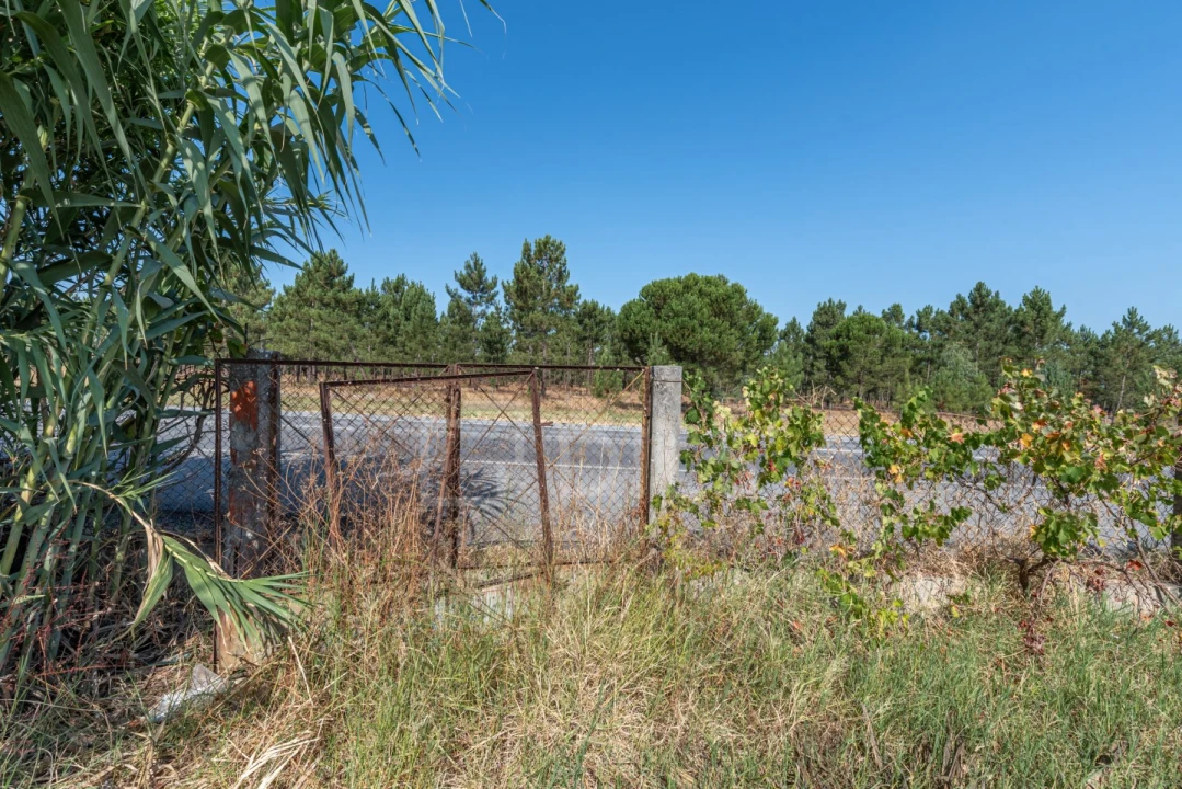 Terreno para Venda em Grândola e Santa Margarida da Serra Foto 14