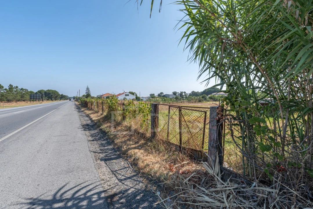 Terreno para Venda em Grândola e Santa Margarida da Serra Foto 15