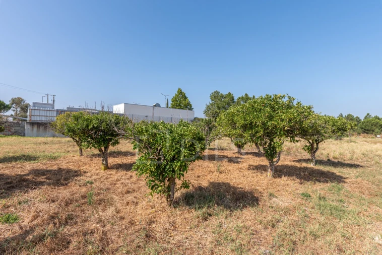 Terreno para Venda em Grândola e Santa Margarida da Serra Foto 13