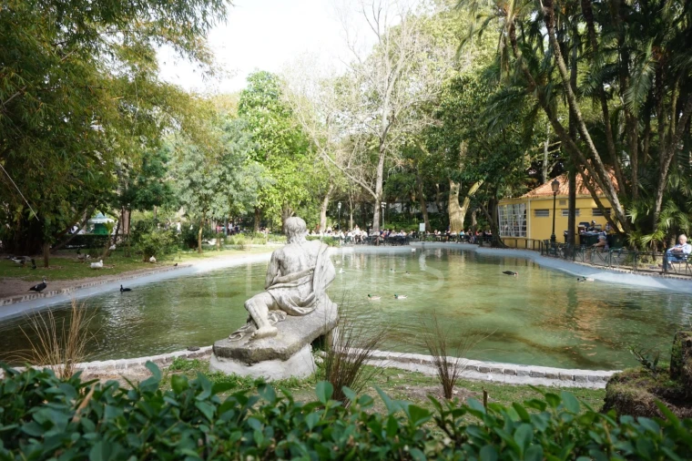 Apartamento T1 para Venda em Misericórdia Foto 23