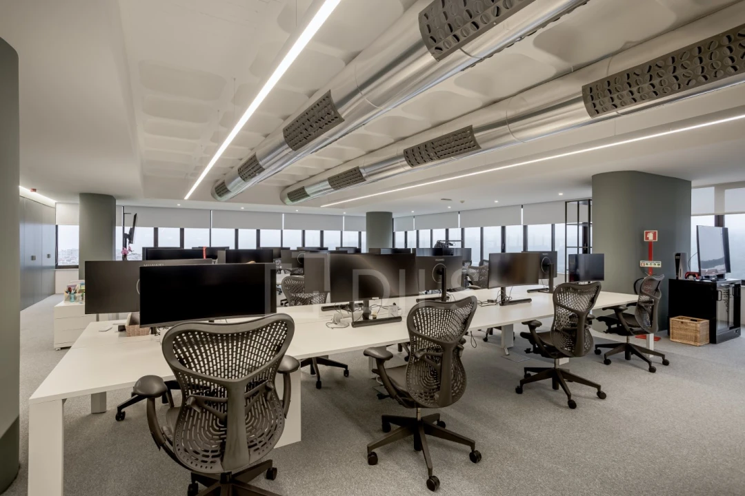 Escritório para Arrendamento em Campo de Ourique Foto 2