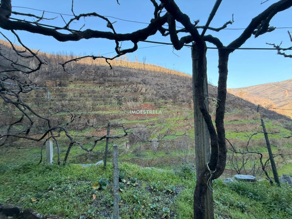 Moradia T4 para Venda em Vide e Cabeça Foto 7