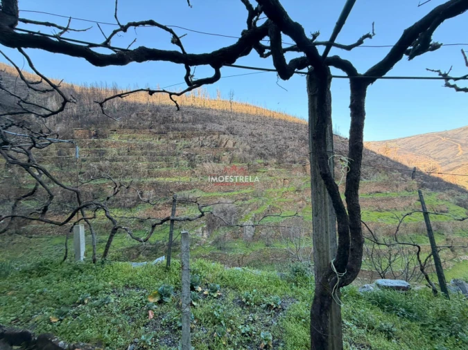 Moradia T4 para Venda em Vide e Cabeça Foto 7