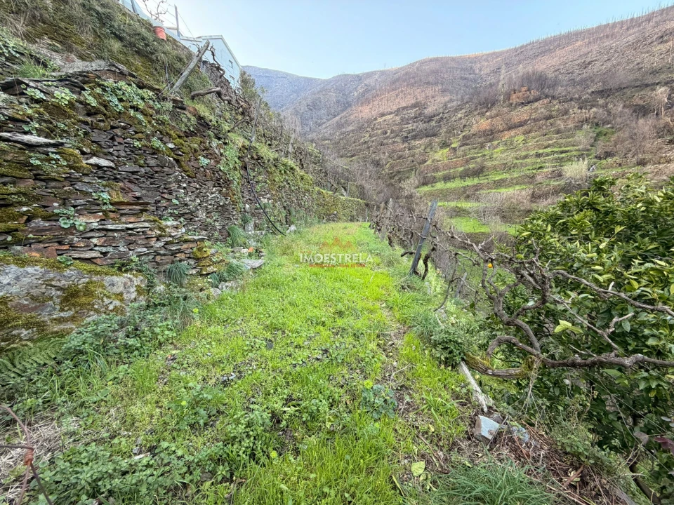 Moradia T4 para Venda em Vide e Cabeça Foto 10