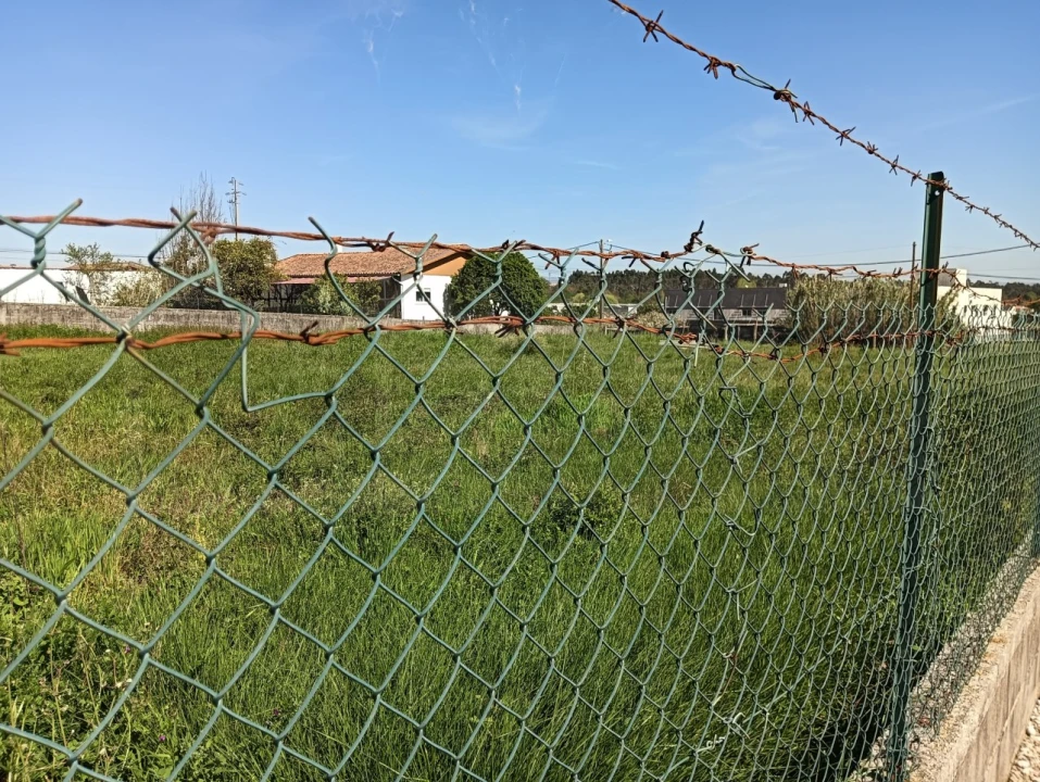 Terreno para Venda em Oiã Foto 13