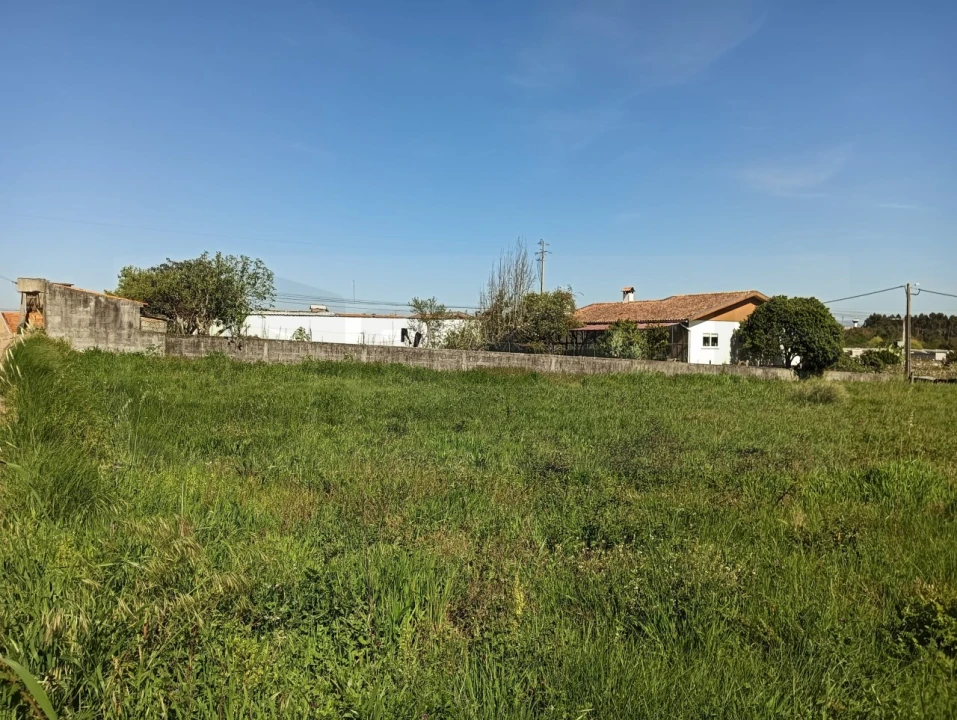 Terreno para Venda em Oiã Foto 17