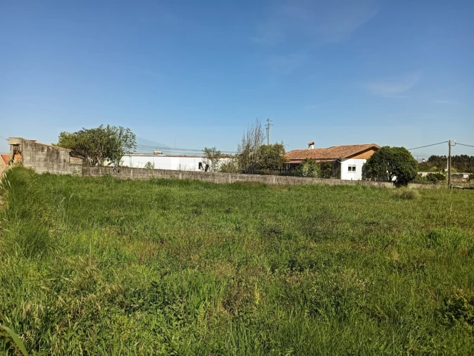 Terreno para Venda em Oiã Foto 11