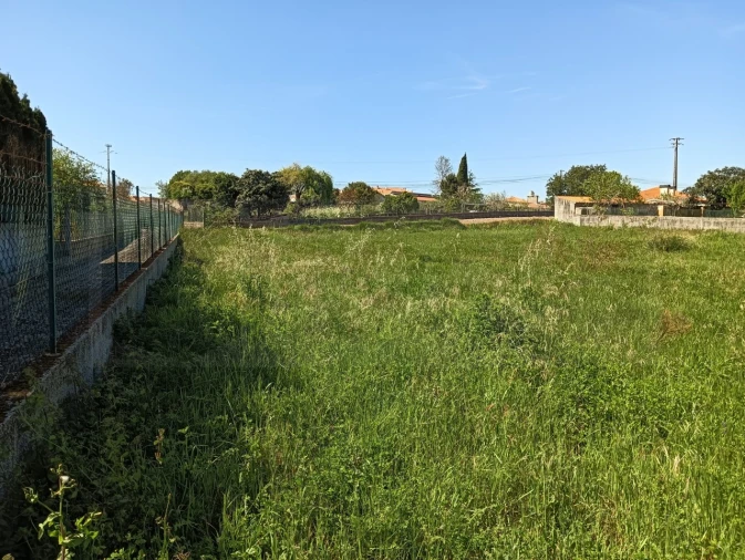 Terreno para Venda em Oiã Foto 19