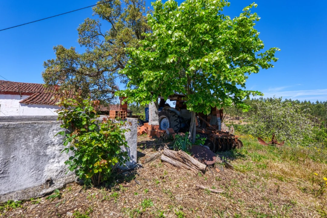 Moradia T3 para Venda em Carvoeiro Foto 30