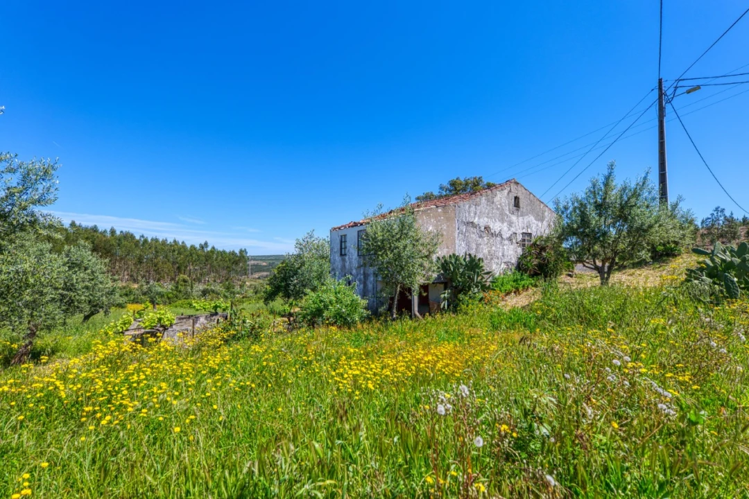 Moradia T3 para Venda em Carvoeiro Foto 33