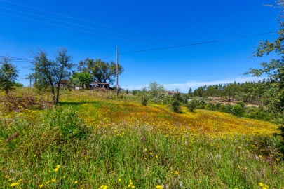 Moradia T3 para Venda em Carvoeiro