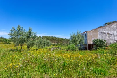 Moradia T3 para Venda em Carvoeiro