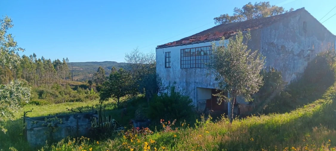 Moradia T2 para Venda em Carvoeiro