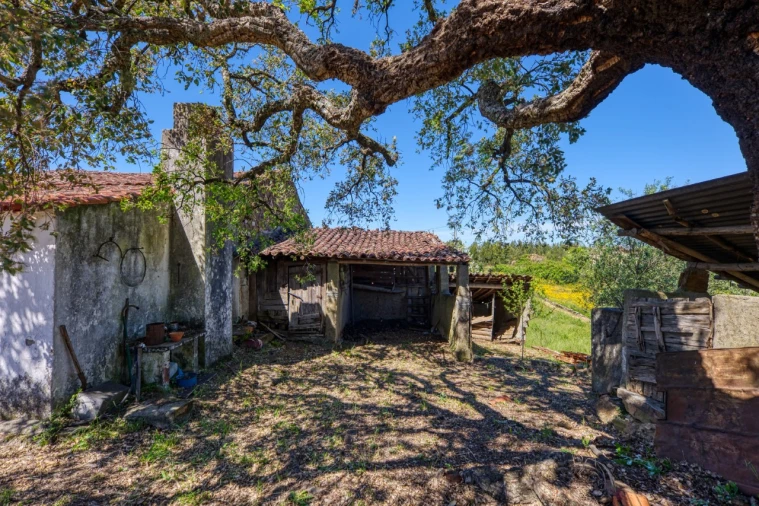 Moradia T3 para Venda em Carvoeiro Foto 4