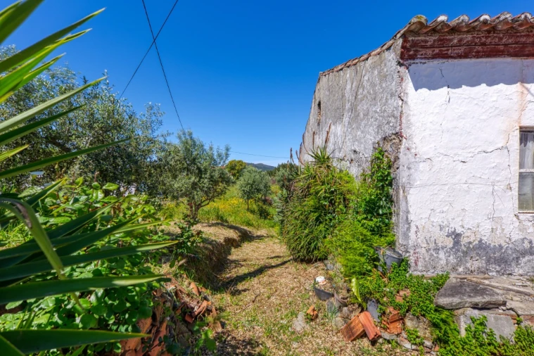 Moradia T3 para Venda em Carvoeiro Foto 7