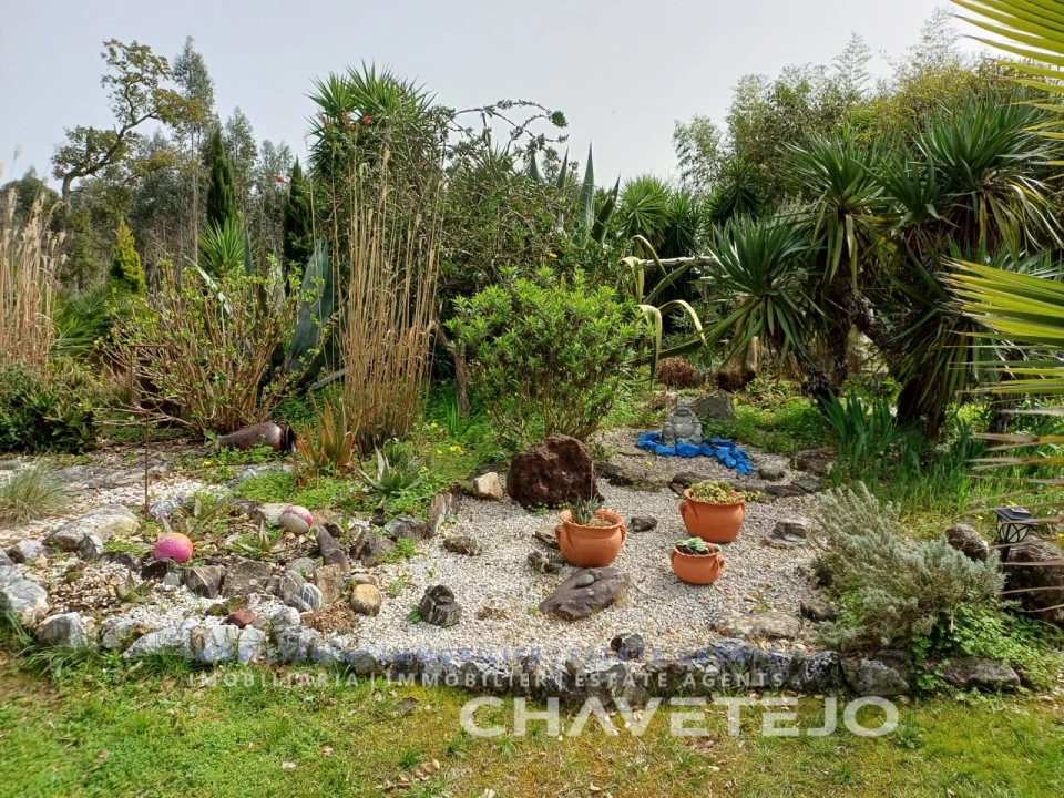 Moradia T2 para Venda em Areias e Pias Foto 57