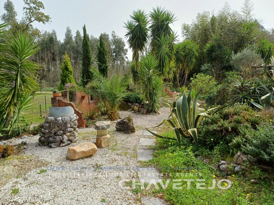 Moradia T2 para Venda em Areias e Pias Foto 68