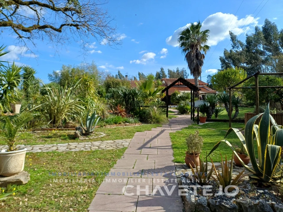 Moradia T2 para Venda em Areias e Pias Foto 63