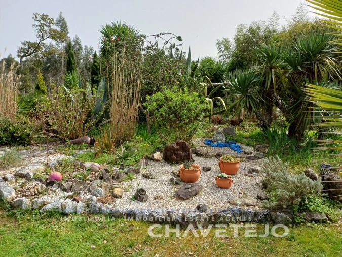 Moradia T2 para Venda em Areias e Pias Foto 57