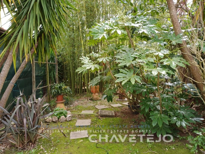 Moradia T2 para Venda em Areias e Pias Foto 70