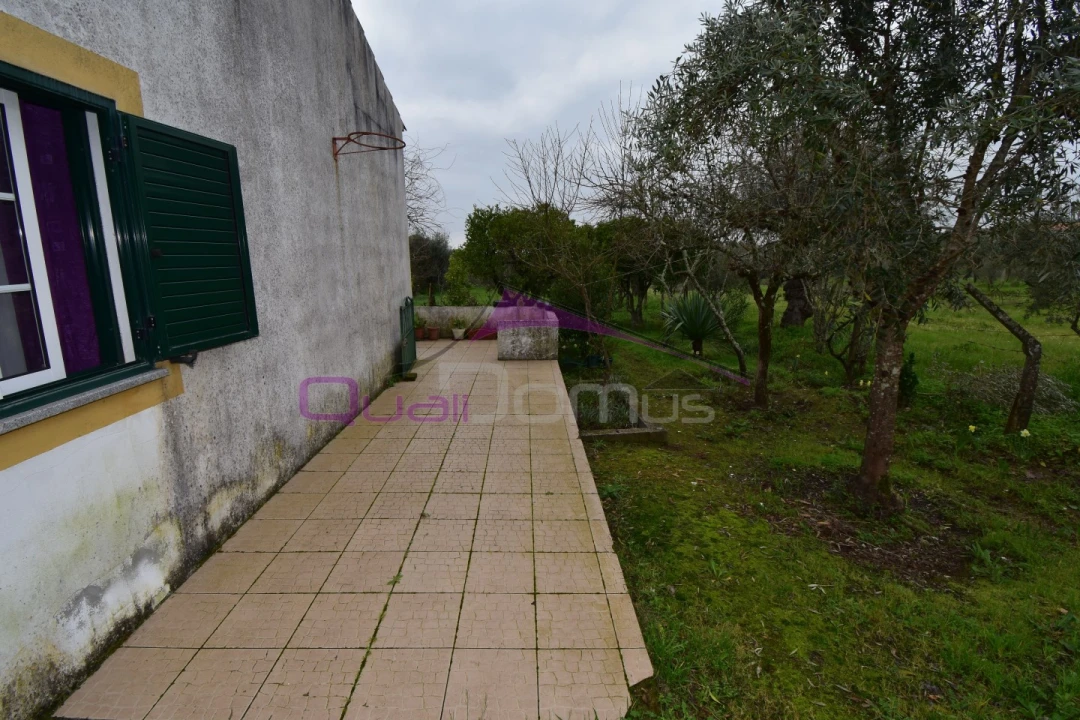Terreno Agricola ou Rústico para Venda em Mouriscas Foto 7