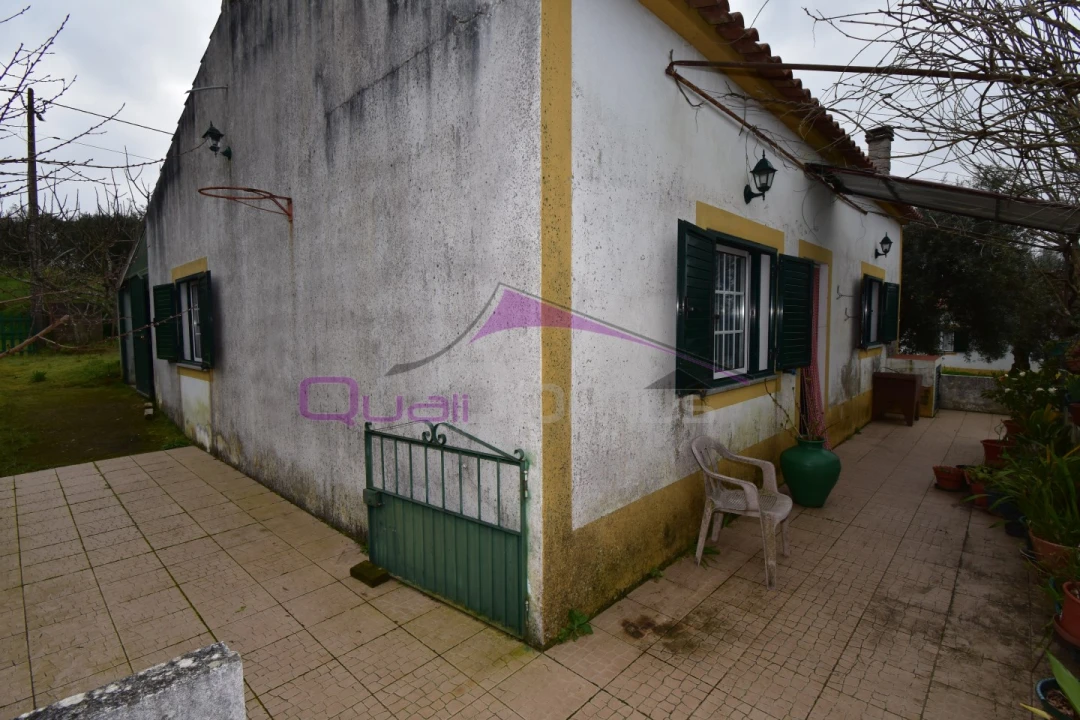 Terreno Agricola ou Rústico para Venda em Mouriscas Foto 5