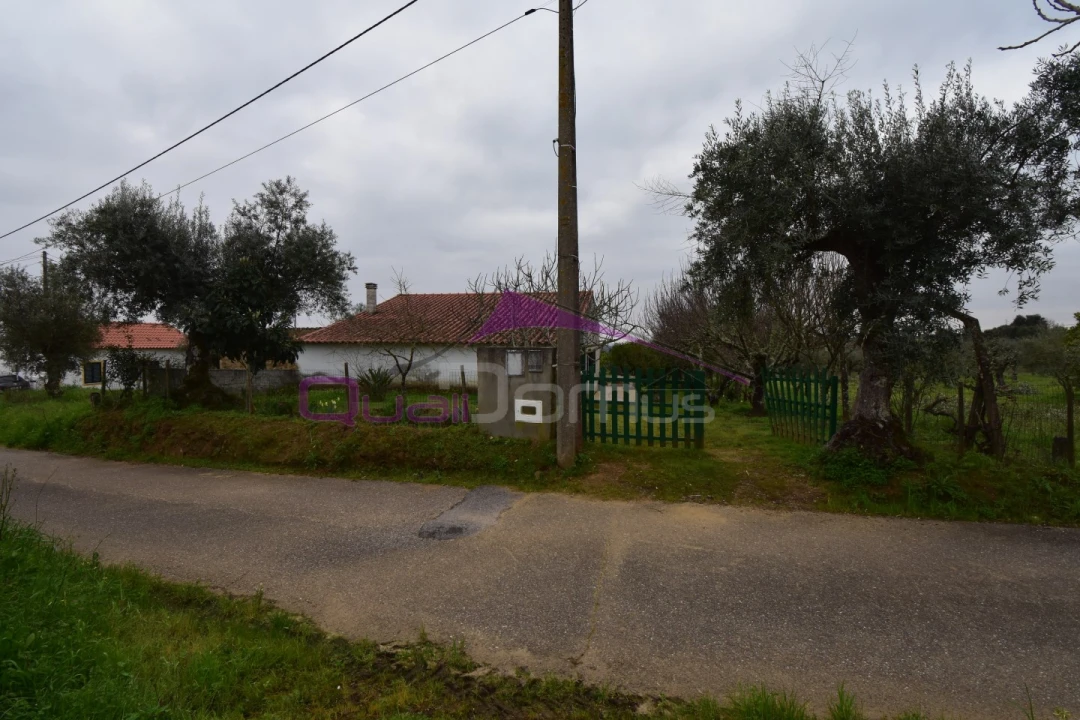 Terreno Agricola ou Rústico para Venda em Mouriscas Foto 10