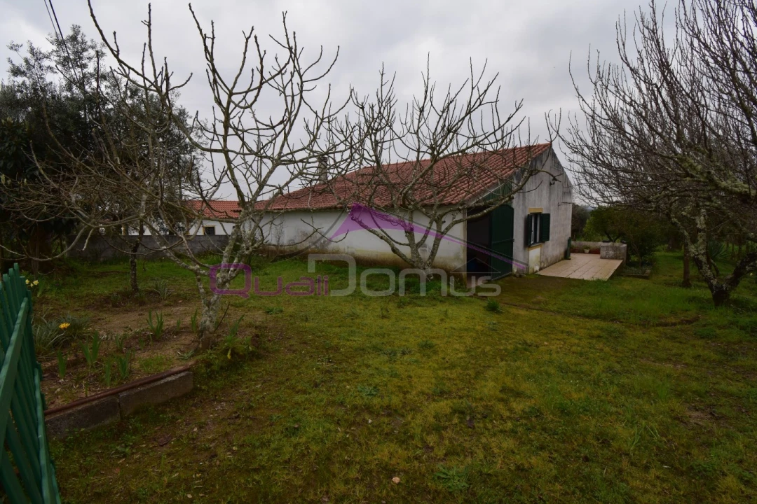 Terreno Agricola ou Rústico para Venda em Mouriscas Foto 11