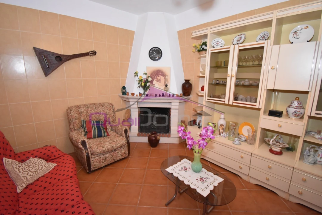 Terreno Agricola ou Rústico para Venda em Mouriscas Foto 15