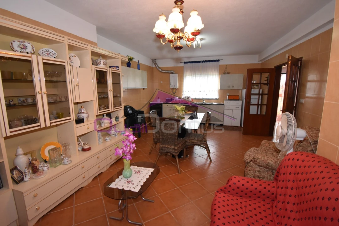 Terreno Agricola ou Rústico para Venda em Mouriscas Foto 16