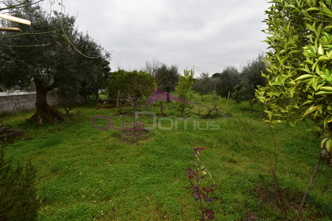 Terreno Agricola ou Rústico para Venda em Mouriscas Foto 29