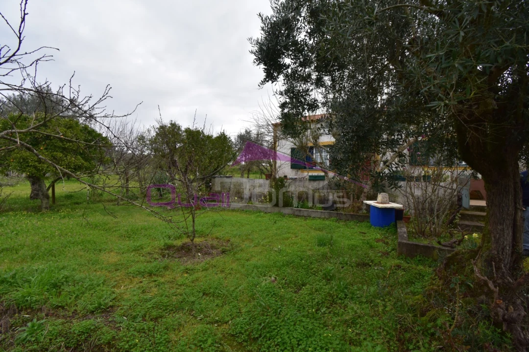 Terreno Agricola ou Rústico para Venda em Mouriscas Foto 31