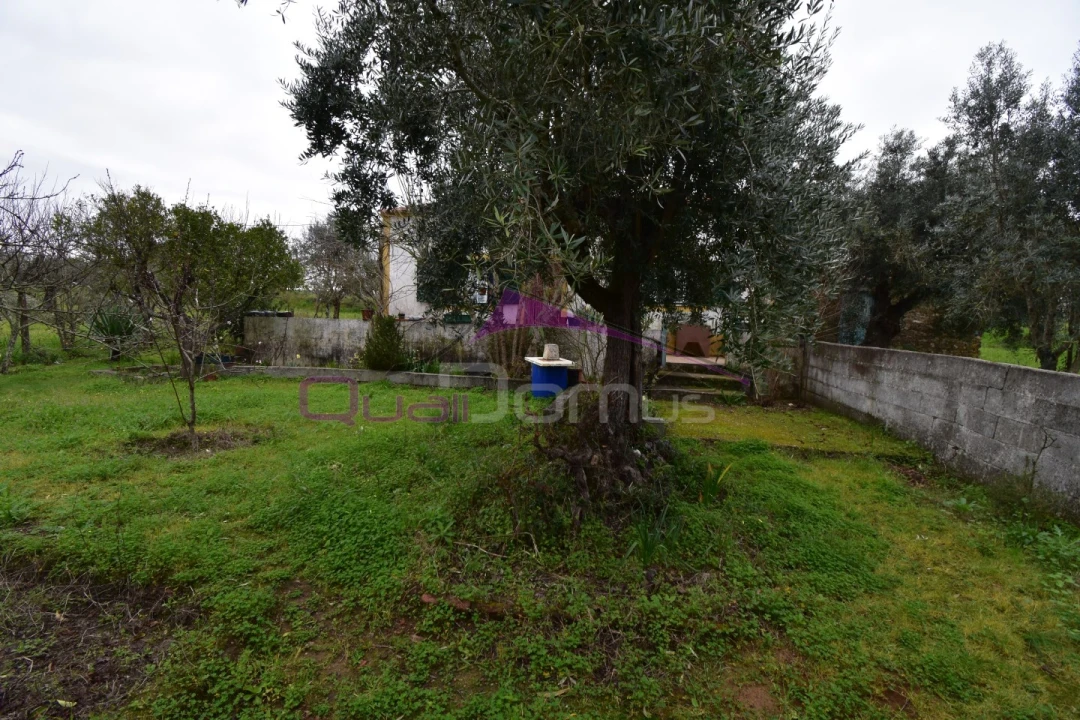 Terreno Agricola ou Rústico para Venda em Mouriscas Foto 36