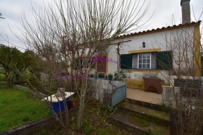 Terreno Agricola ou Rústico para Venda em Mouriscas